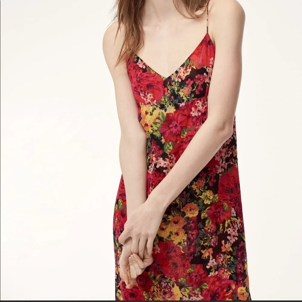 Aritzia floral dress (lined) with side slits